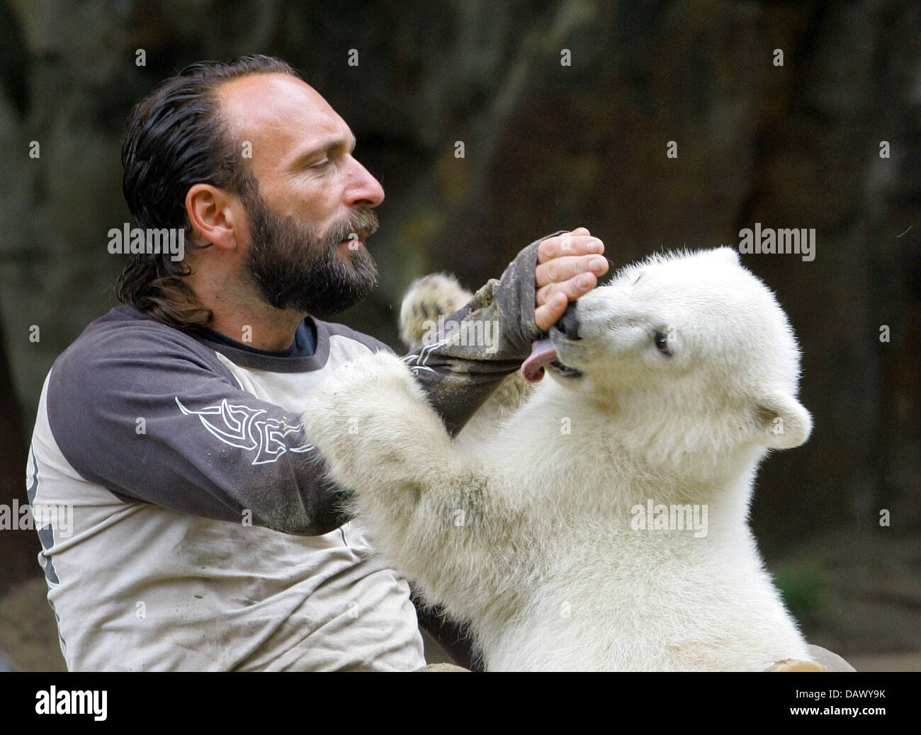 L'ours polaire Knut 'cub' (R) et son gardien Thomas Doerflein (L) jouer dans le zoo de Berlin, Allemagne, 15 mai 2007. Maintenant 5 mois et pesant 20 kilogrammes, Knut a attiré 500 000 visiteurs au zoo. Photo : Steffen Kugler Banque D'Images