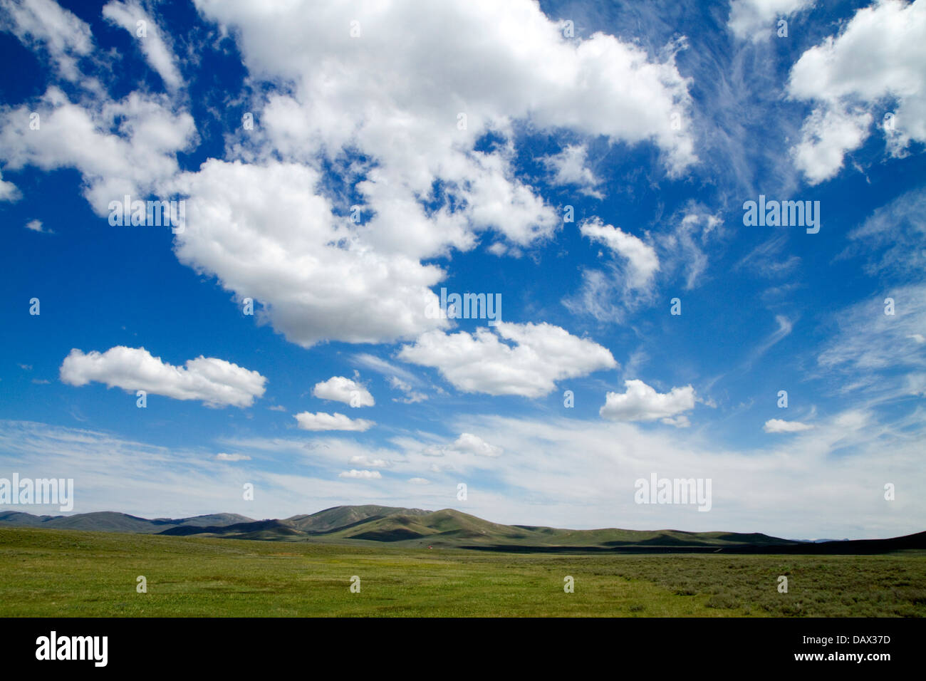 Les cumulus et ciel bleu sur les champs verts près de Pine, Idaho, USA. Banque D'Images