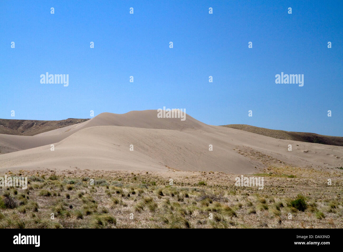 Bruneau Dunes State Park situé près de Bruneau, California, USA. Banque D'Images