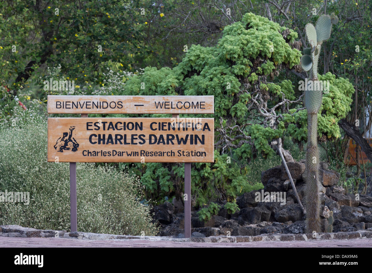 Charles Darwin Research Station, à Puerto Ayora, l'île de Santa Cruz, Galapagos, Equateur Banque D'Images