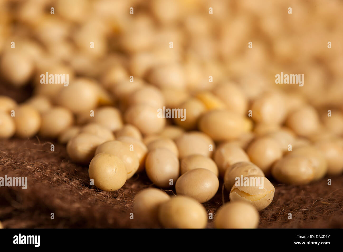 Matière sèche organique Soja contre un arrière-plan Banque D'Images