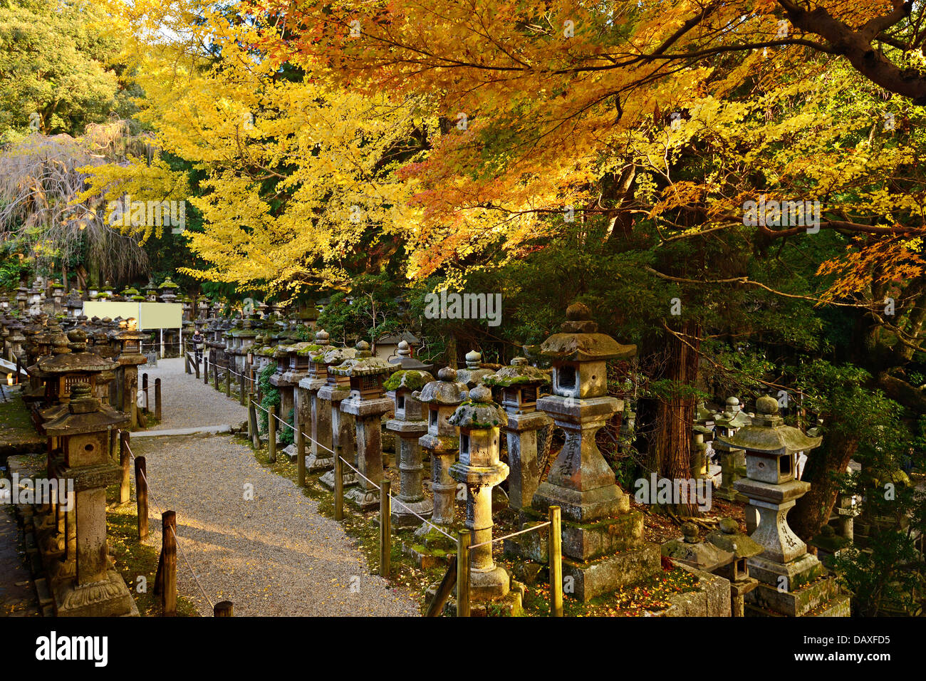 Le feuillage à l'automne de Kasuga Taisha Temple de Nara Banque D'Images