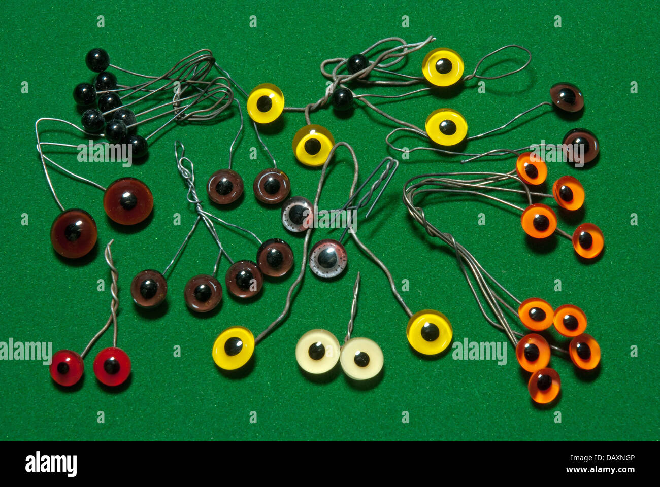 Une sélection de yeux artificiels utilisés pour la taxidermie Banque D'Images