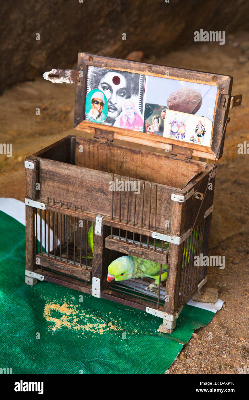 Dans une cage de perroquet, Mahabalipuram, district de Kanchipuram, au Tamil Nadu, Inde Banque D'Images