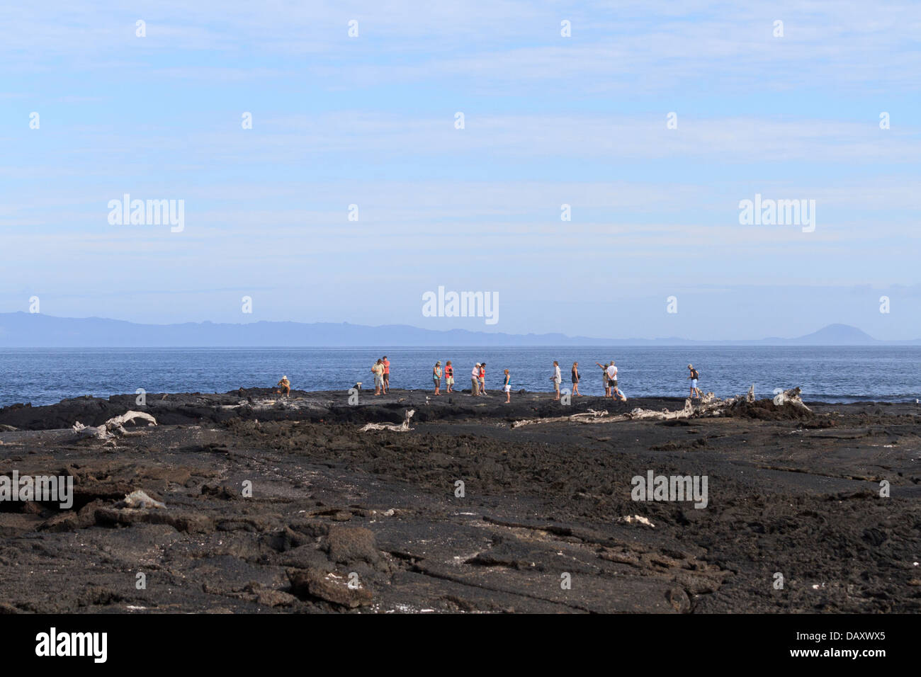 Visite guidée, Punta Espinoza, Fernandina Island, îles Galapagos, Equateur Banque D'Images