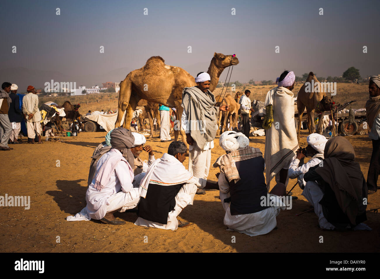 Scène à Pushkar Camel Fair, Pushkar, Ajmer, Rajasthan, Inde Banque D'Images