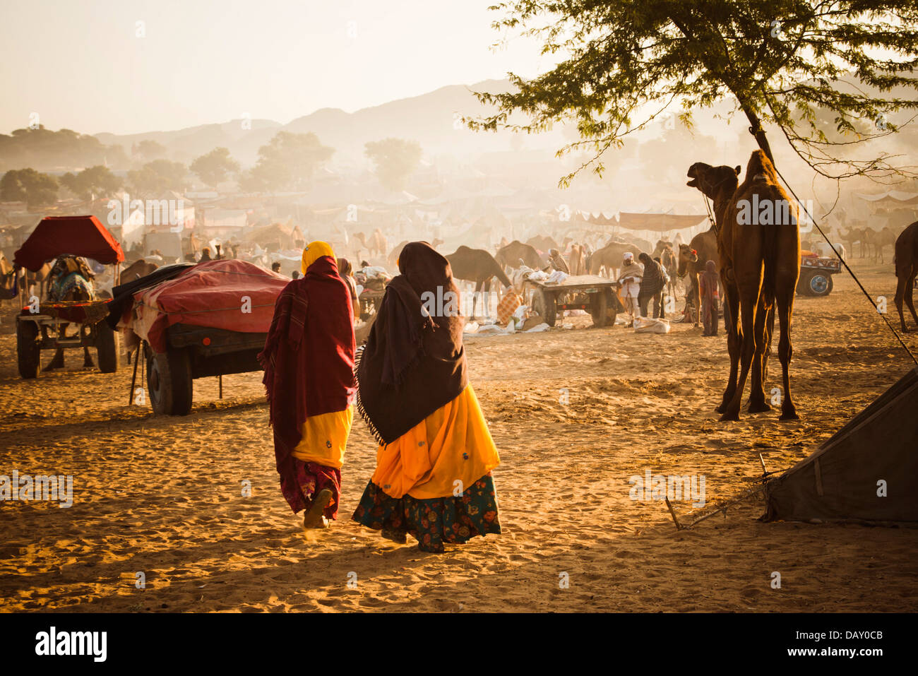 Scène à Pushkar Camel Fair, Pushkar, Ajmer, Rajasthan, Inde Banque D'Images
