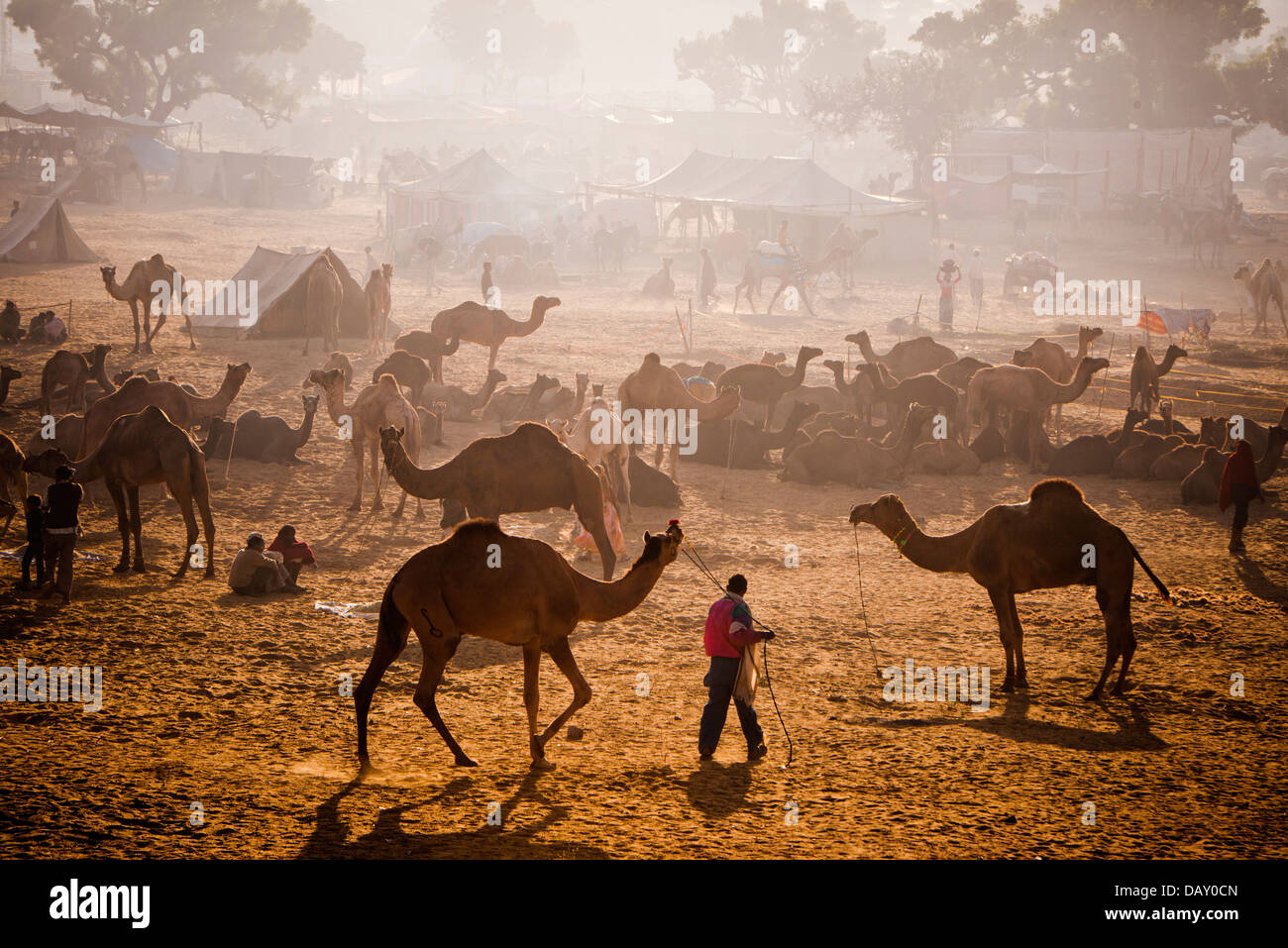 Scène à Pushkar Camel Fair, Pushkar, Ajmer, Rajasthan, Inde Banque D'Images