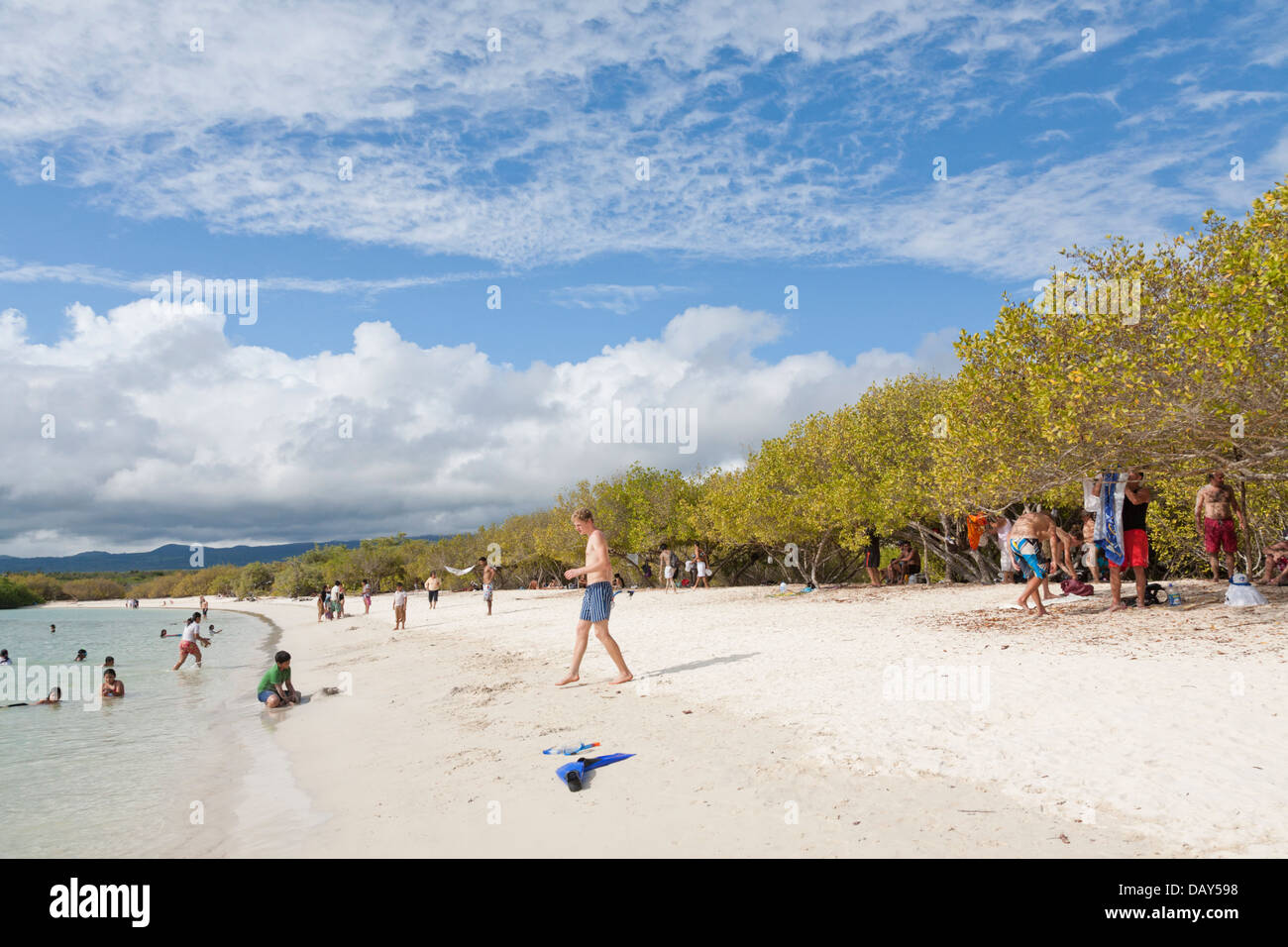 Tortuga Bay, plage, l'île de Santa Cruz, Galapagos, Equateur Banque D'Images