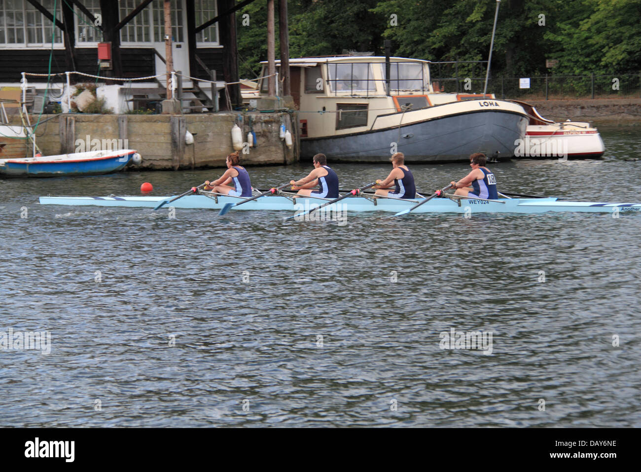 Weybridge Rowing Club féministe quatre de couple à Molesey Régate Amateur, 20 juillet 2013, Tamise, Hurst Park Riverside, East Molesey, près de Hampton Court, Surrey, Angleterre, Grande-Bretagne, Royaume-Uni, UK, Europe Crédit : Ian bouteille/Alamy Live News Banque D'Images Weybridge Rowing Club féministe quatre de couple à Molesey Régate Amateur, 20 juillet 2013, Tamise, Hurst Park Riverside, East Molesey, près de Hampton Court, Surrey, Angleterre, Grande-Bretagne, Royaume-Uni, UK, Europe Crédit : Ian bouteille/Alamy Live News Banque D'Images