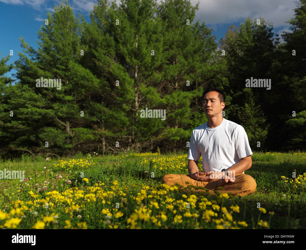 Licence disponible sur MaximImages.com - Homme asiatique méditant à l'extérieur pendant le lever du soleil dans la nature, assis à pieds croisés dans la nature verte extérieure d'été Banque D'Images
