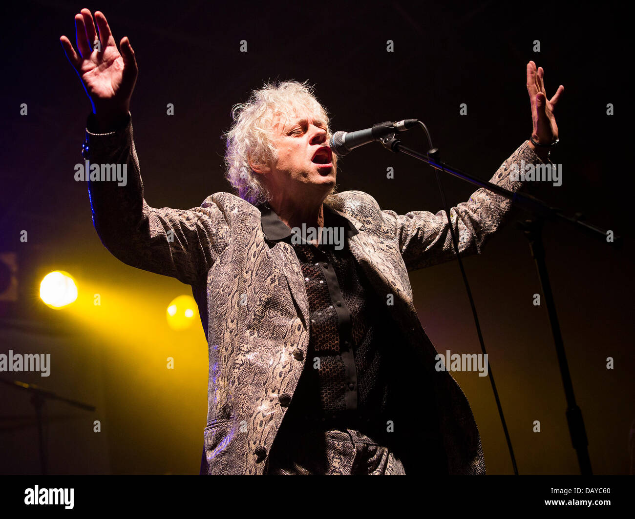 Oakhampton, Royaume-Uni. 20 juillet, 2013. Bob Geldof, vêtu d'un costume de crocodile faux, effectue avec the Boomtown Rats à Chagstock, un petit festival de musique près de Okehampton, Devon. Le sold out cas vu festivaliers profitant du temps chaud et ensoleillé que le panier a UK a récemment. Le Met Office a dévalorisé le niveau d'alerte de canicule, mais les températures devraient augmenter de nouveau au cours de la semaine prochaine. 20 Juillet 2013 Crédit : Adam Gasson/Alamy Live News Banque D'Images