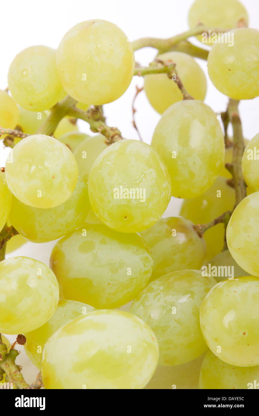 Grappe de raisin vert isolé sur fond blanc Banque D'Images