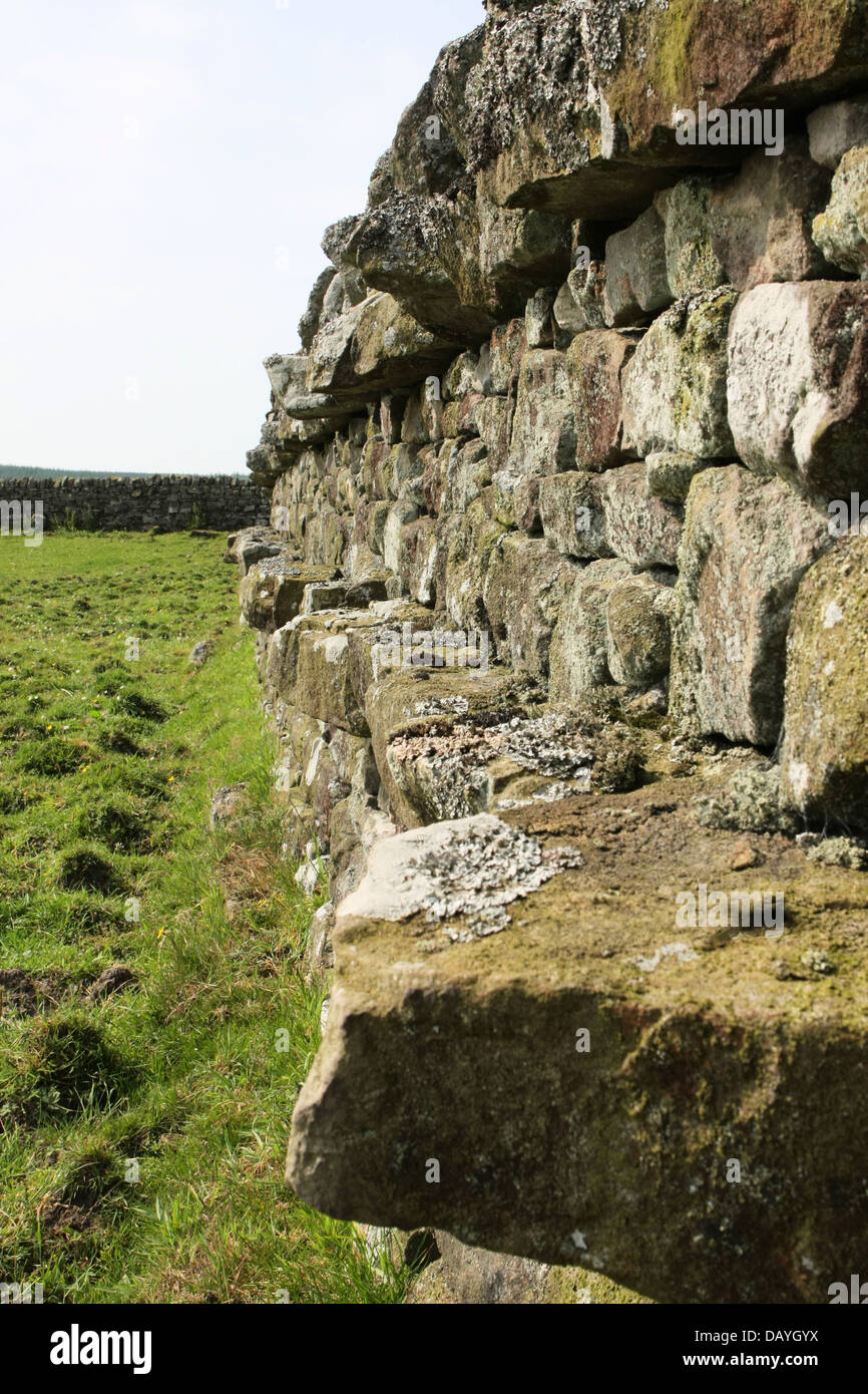Style de Northumbrian muret de pierres sèches avec le renforcement par des pierres Banque D'Images