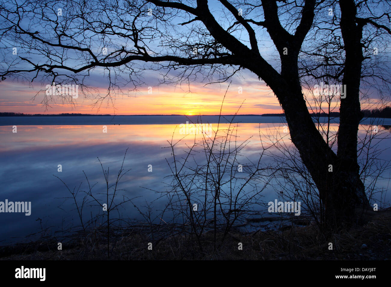 Saadjärv Lac au coucher du soleil. L'Estonie, Europe Banque D'Images