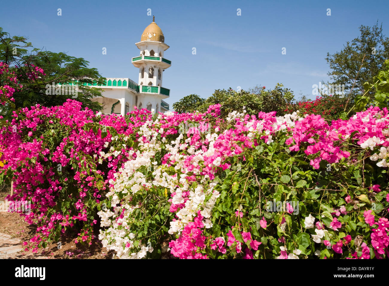 Une petite mosquée flancs le tombeau du prophète Job, près de Mascate, Oman, province de Dhofar. Banque D'Images