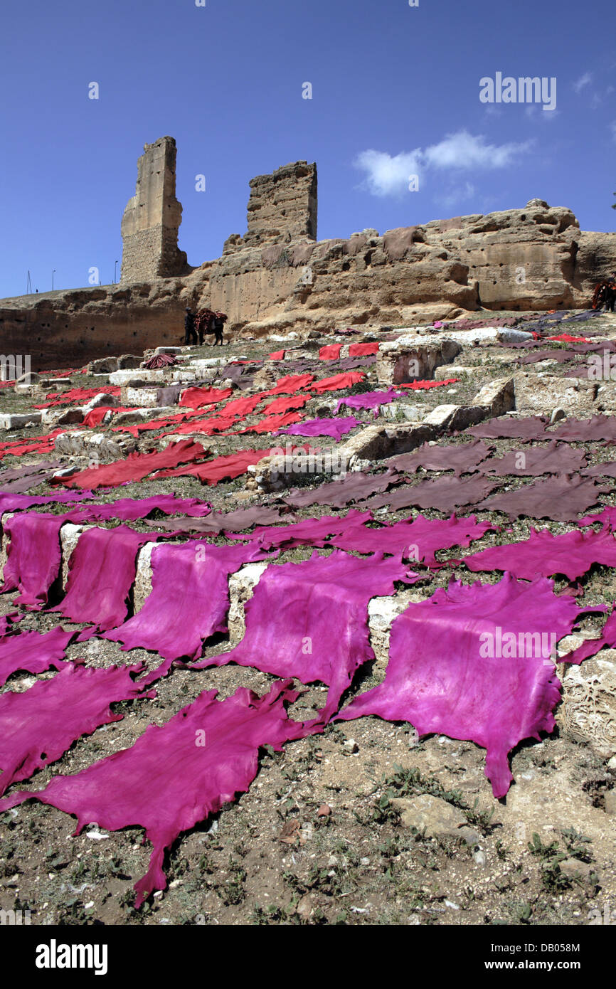 Peaux d'animaux colorés se situent sur une colline dans la ville du Roi Fes, Maroc, 30 mars 2007. Photo : Marijan Murat Banque D'Images