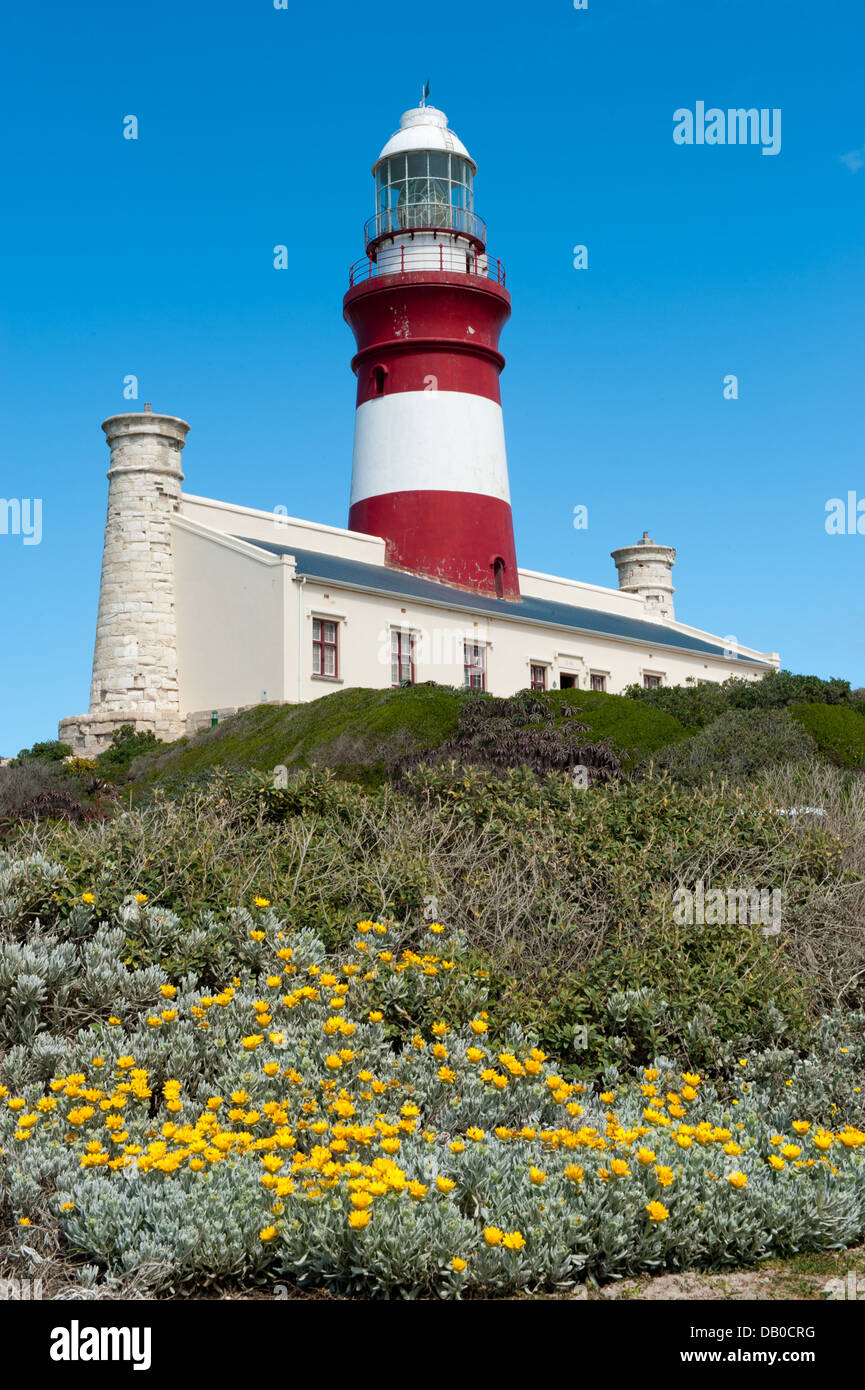 Phare de Cape Agulhas, Parc National d'Agulhas, Afrique du Sud Banque D'Images