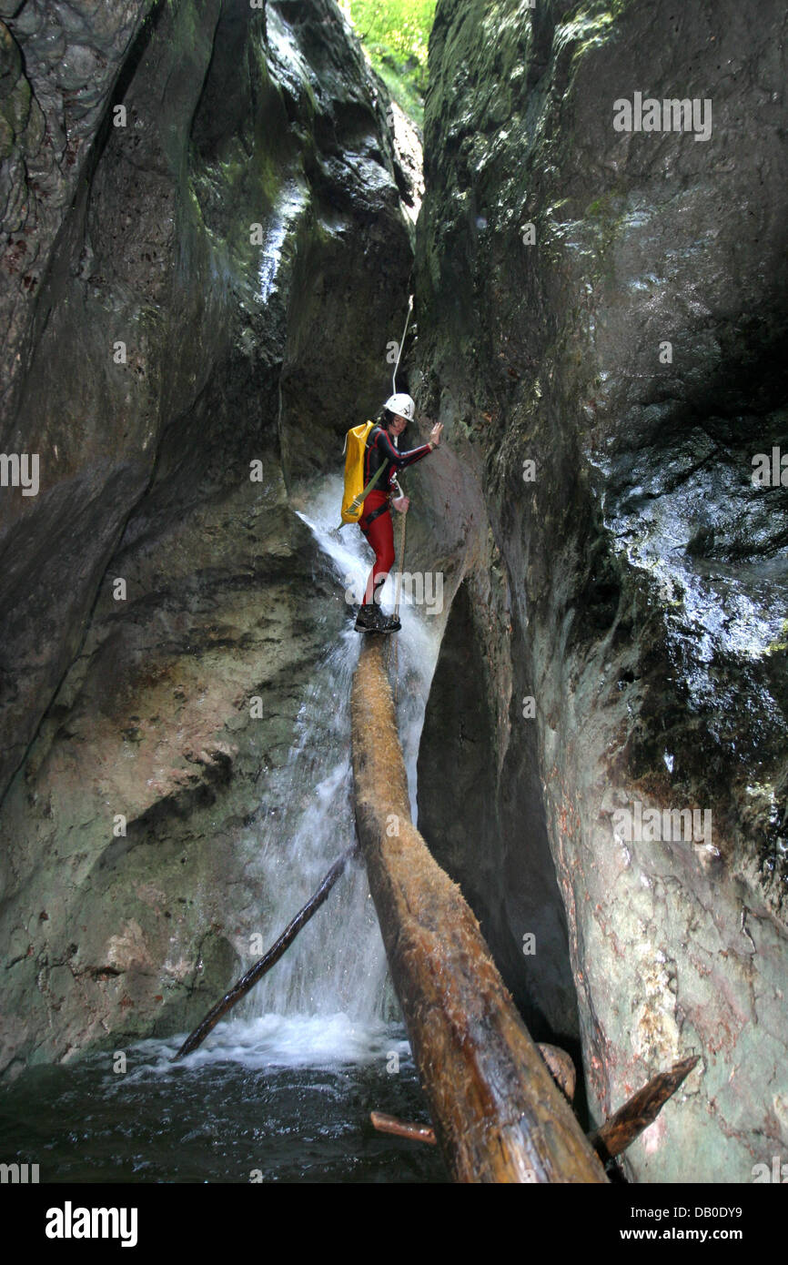 Un canyonist en équilibre sur un tronc pour traverser le canyon près de Glanegg, Autriche, le 15 juillet 2007. Les sportifs gravir les montagnes alpines sur de bons moyens et préfèrent faire leur chemin vers le bas par l'eau-canyons en streaming de sauter dans les bassins et les piscines de fusil, surmonter les rochers et cascades par climing ligotage et vers le bas. L'équipement standard est combinaison, casque, corde, courroie d'être plus rapide que l'élévation rapide Banque D'Images