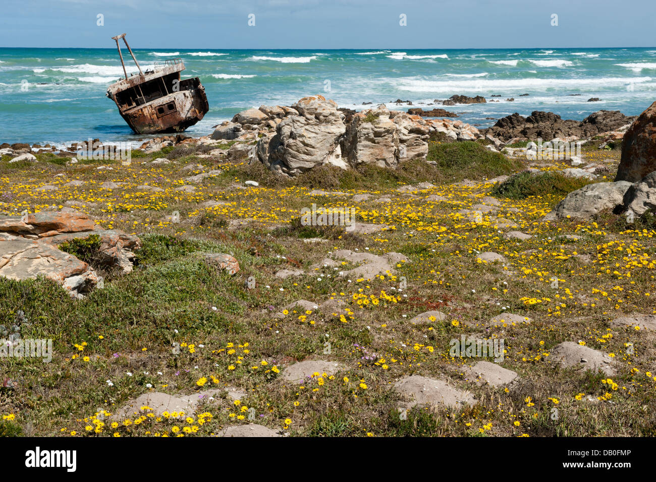 Naufrage, Cape Agulhas, Parc National d'Agulhas, Afrique du Sud Banque D'Images