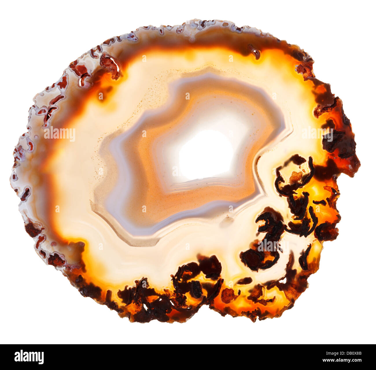 Tranche d'agate naturel isolé sur fond blanc Banque D'Images