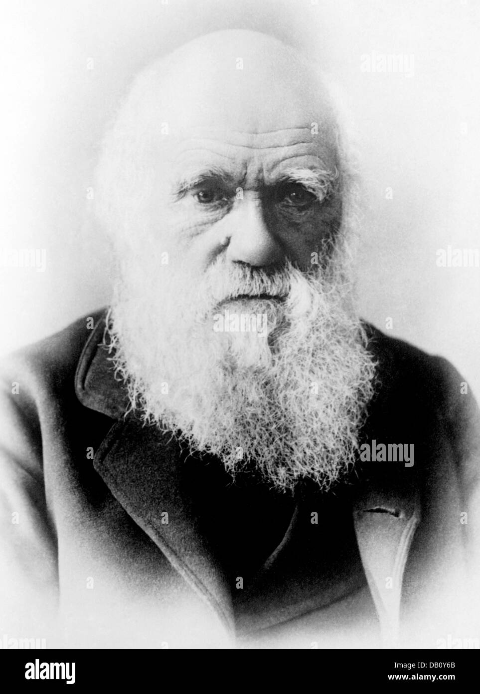 CHARLES DARWIN (1809-1882) Naturaliste anglais vers 1880 Banque D'Images