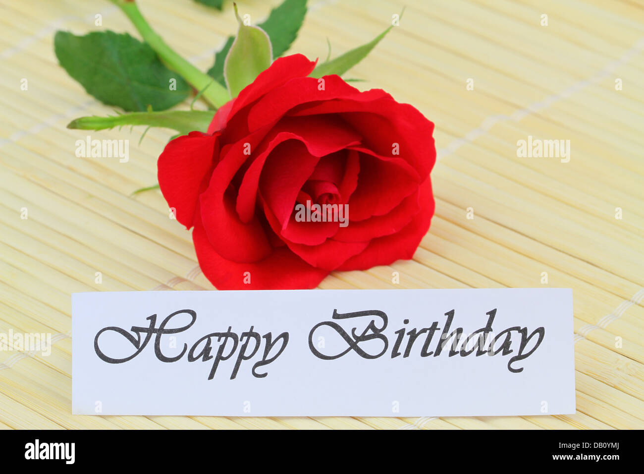 Joyeux Anniversaire Remarque Et Red Rose Photo Stock Alamy