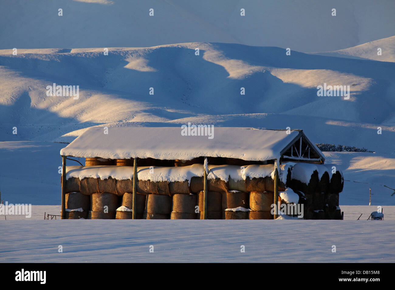 Grange à foin et la neige près de Oturehua, Maniototo, Central Otago, île du Sud, Nouvelle-Zélande Banque D'Images