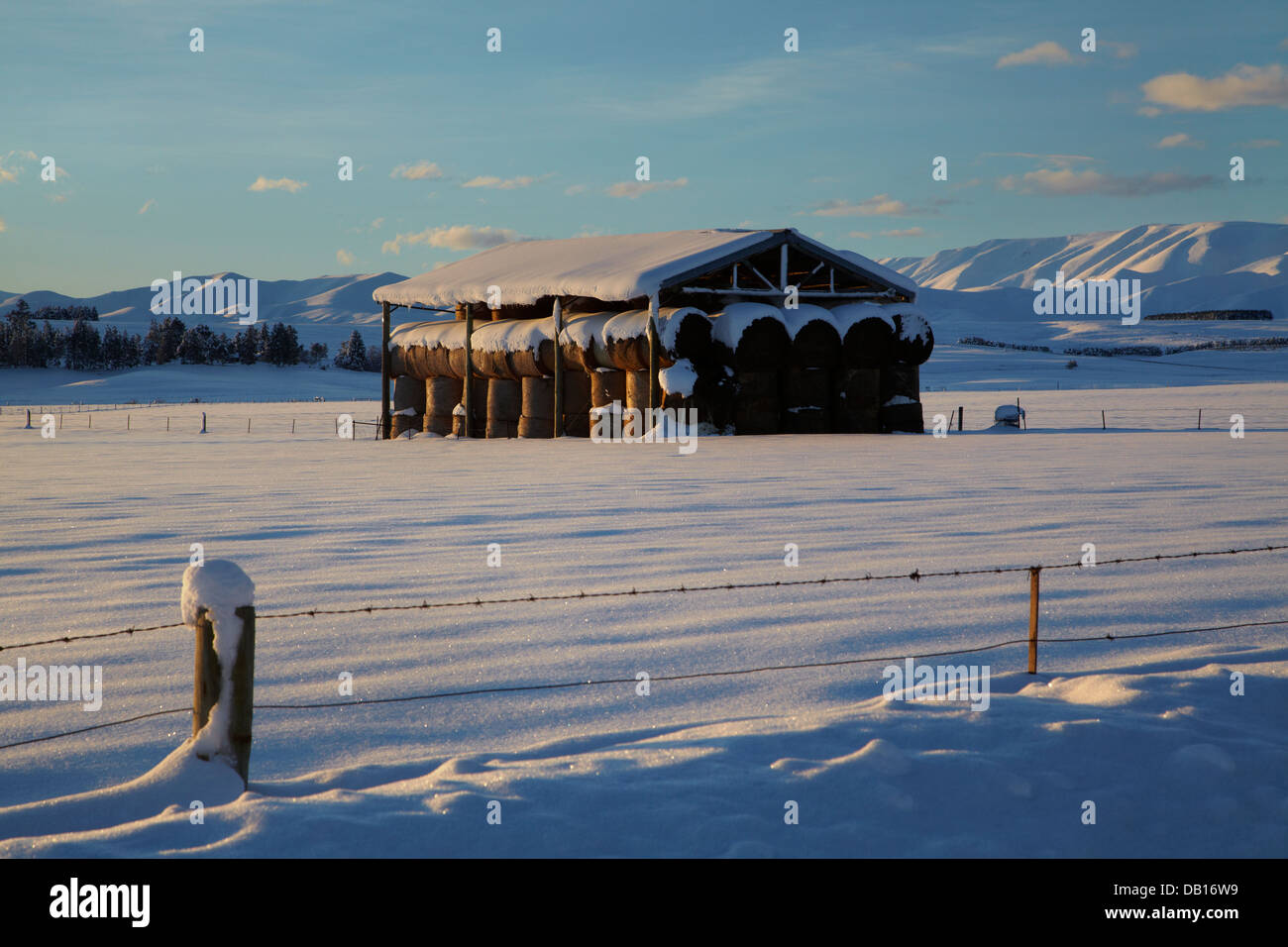 Grange à foin et la neige près de Oturehua, Maniototo, Central Otago, île du Sud, Nouvelle-Zélande Banque D'Images