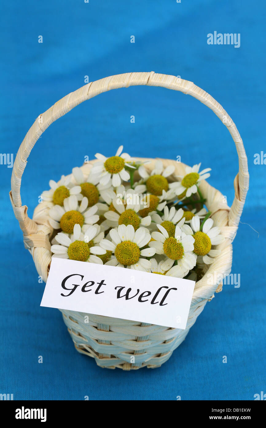 Carte de prompt sur mini panier en osier plein de fleurs de camomille Banque D'Images