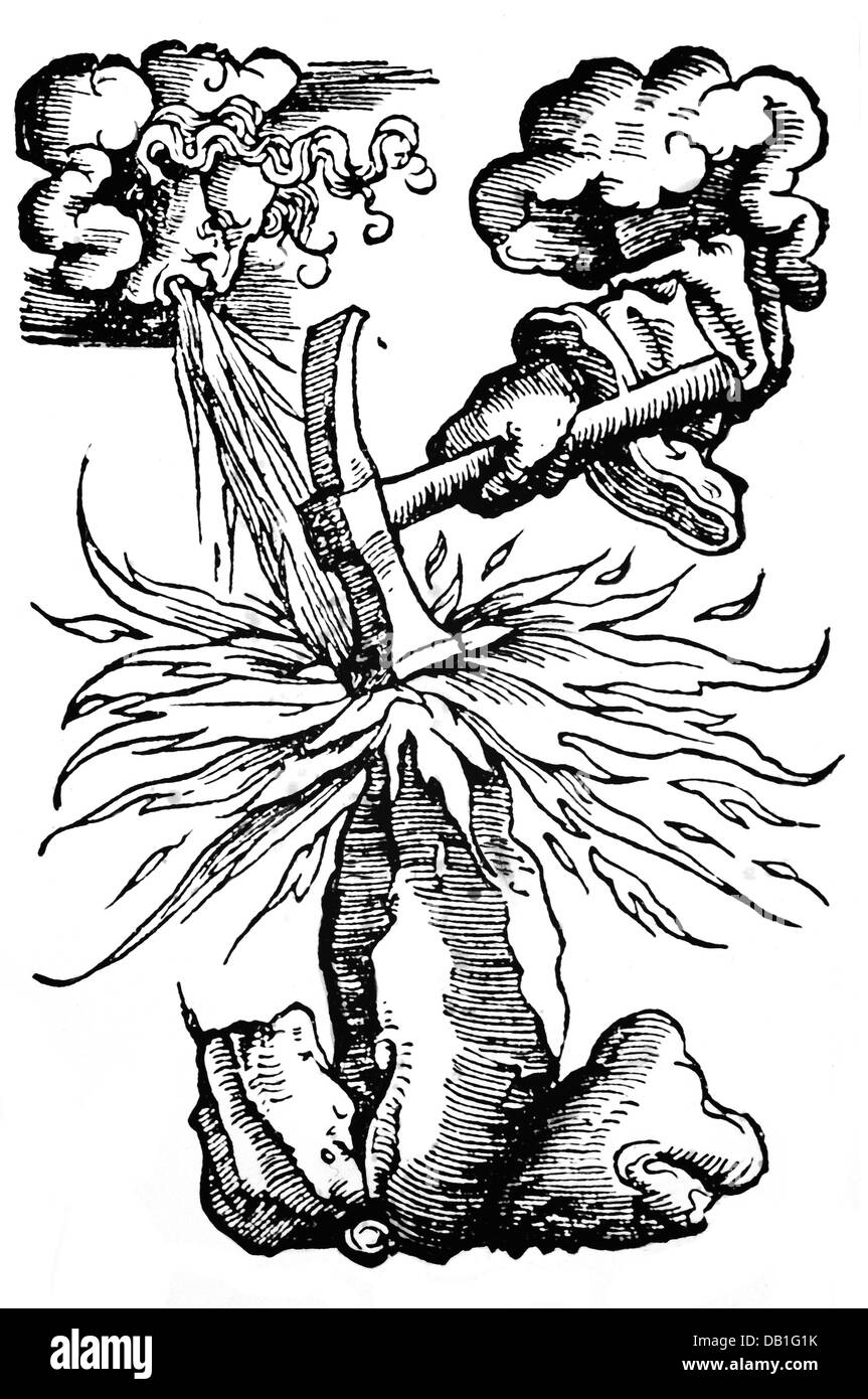 technics, typographie / médias, marque de l'éditeur, Sebastian Henric Petri (1546 - 1627), coupe de bois, 9,4 x 6,3 cm, Bâle, 1er demi-XVIIe siècle, collection privée, XVIIe siècle, graphisme, graphiques, impression, impressions, marques, enseignes, enseignes, marque de l'éditeur, imprimerie, imprimerie, imprimerie, imprimerie, imprimerie, symboles, imprimerie, imprimerie Ciel, nuage, nuages, vent, vents, marteau, marteaux, pierre, pierres, roche, roches, étincelles, étincelle, feu, Henricus Petrus, coupe de bois, coupes de bois, Bâle, Bâle, Bâle, historique, historique, peuple, droits additionnels-Clearences-non disponible Banque D'Images