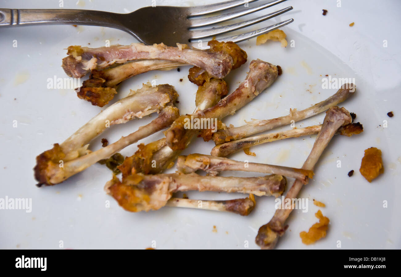 Chien et poulet Banque de photographies et d’images à haute résolution Alamy