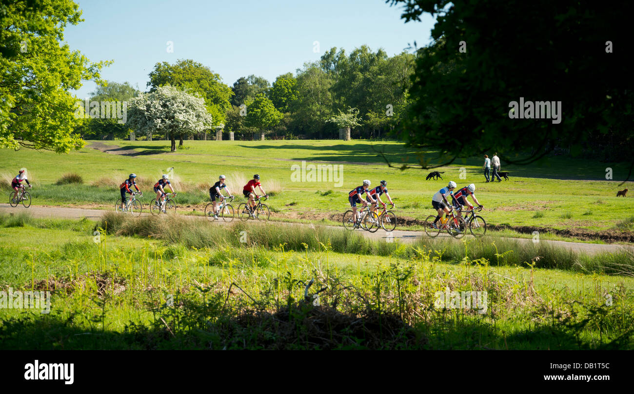 Les cyclistes à Richmond Park, South West London, UK Banque D'Images