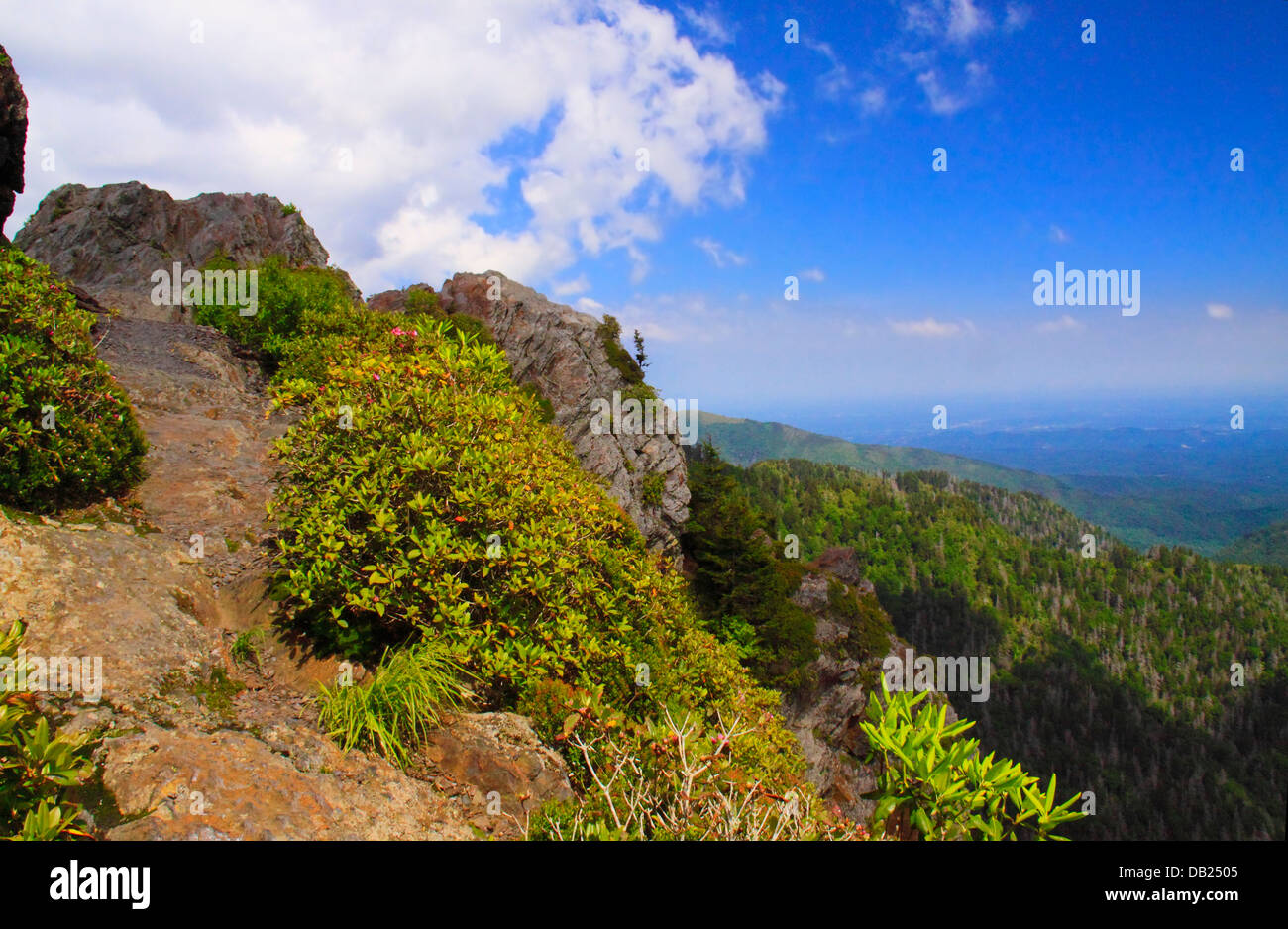 Charlie's oignon, Great Smoky Mountains National Park, Caroline du Nord, Tennessee, USA Banque D'Images