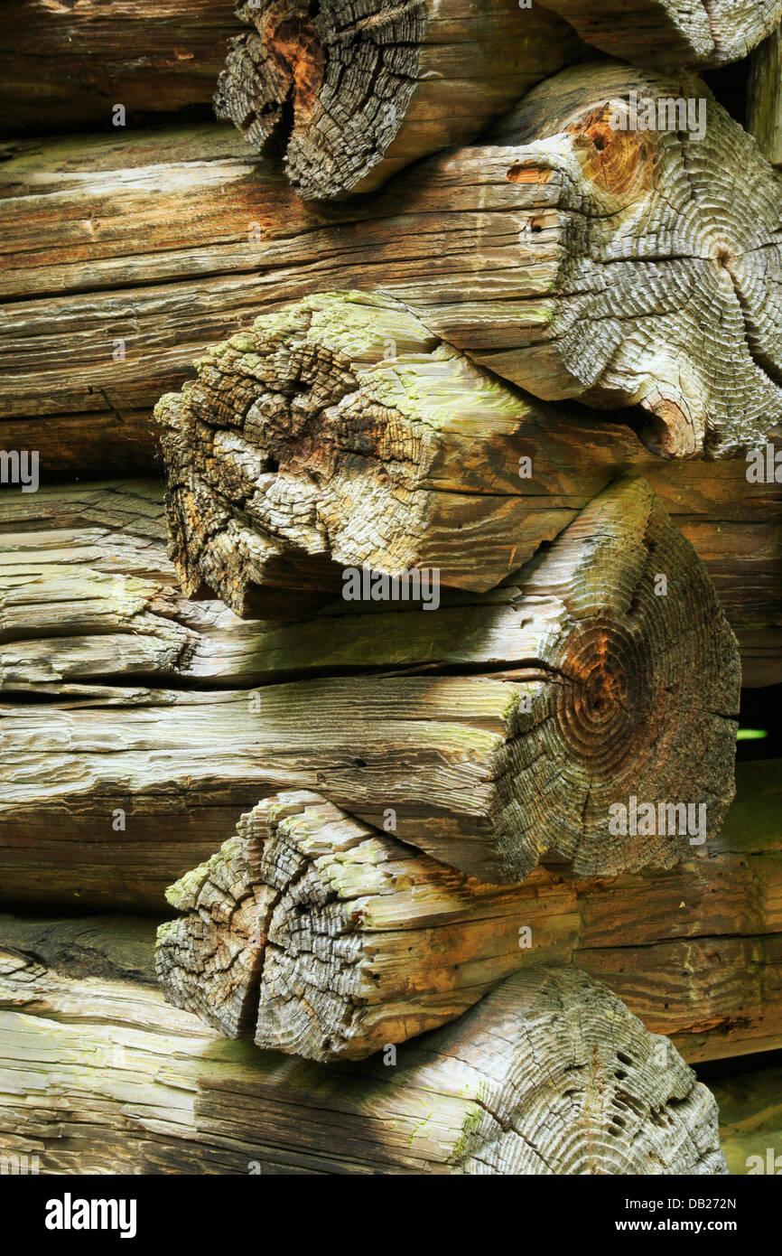 Elie Oliver dépendance, la Cades Cove, Great Smoky Mountains National Park, California, USA Banque D'Images