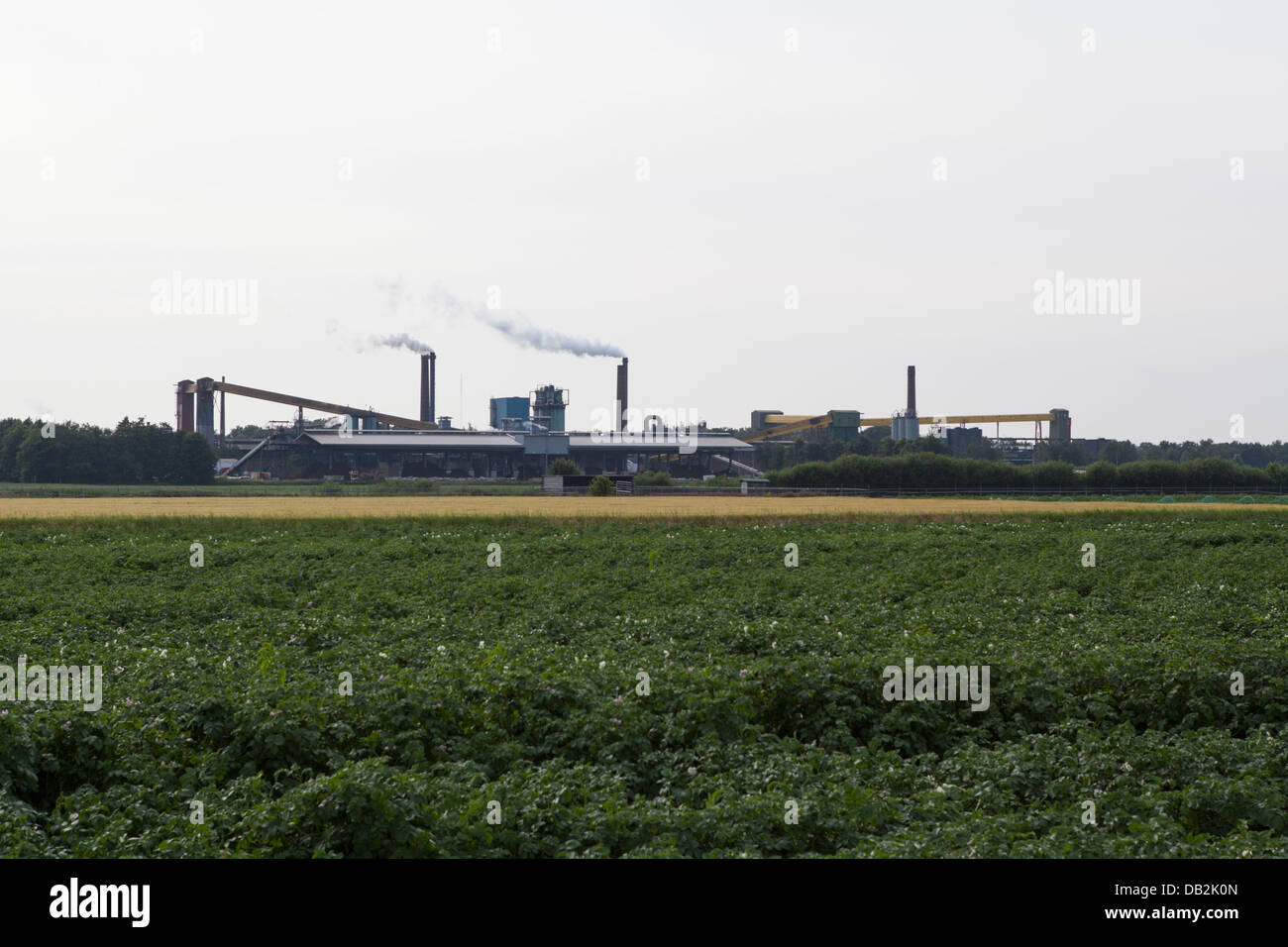 Norit productionplant en Klazienaveen aux Pays-Bas Banque D'Images