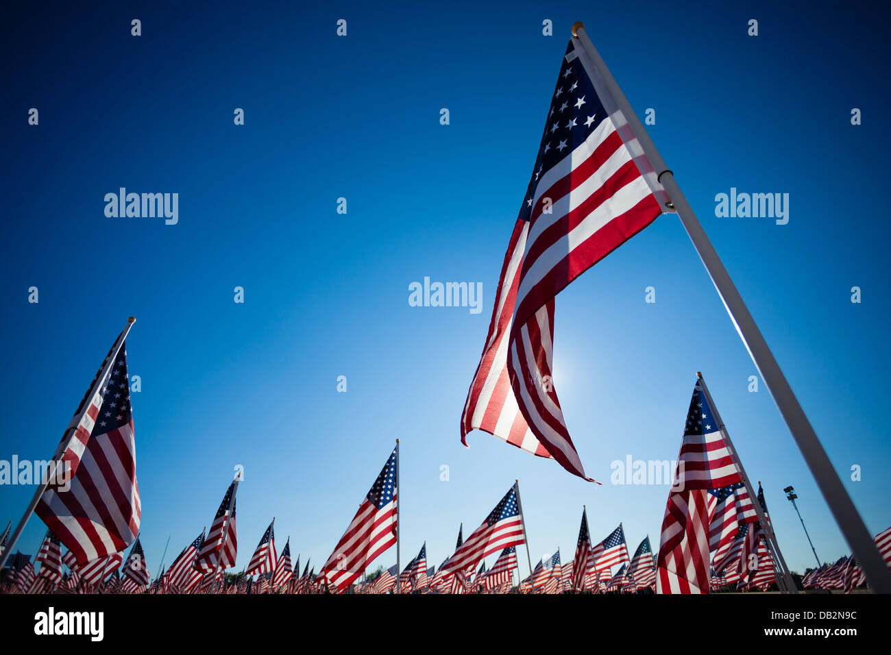 Un affichage de nombreux drapeaux américain avec un fond bleu ciel Banque D'Images