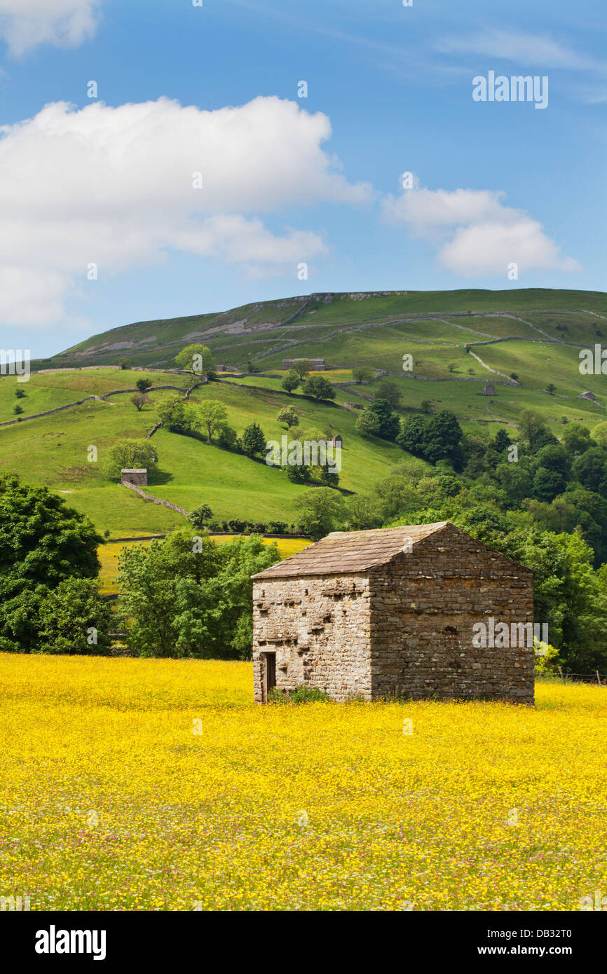 Grange en Kisdon ci-dessous pré Buttercup Hill Swaledale England Yorkshire Dales Banque D'Images