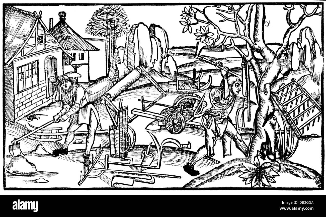 agriculture, travail agricole, désherbage et abattage du bois, coupe de bois, aux oeuvres de Publius Vergilius Maro (70 - 19 av. J.-C.), éditeur: Brent Sebastian, imprimé par Hans Grueninger, Strasbourg, 1502, droits additionnels-Clearences-non disponible Banque D'Images