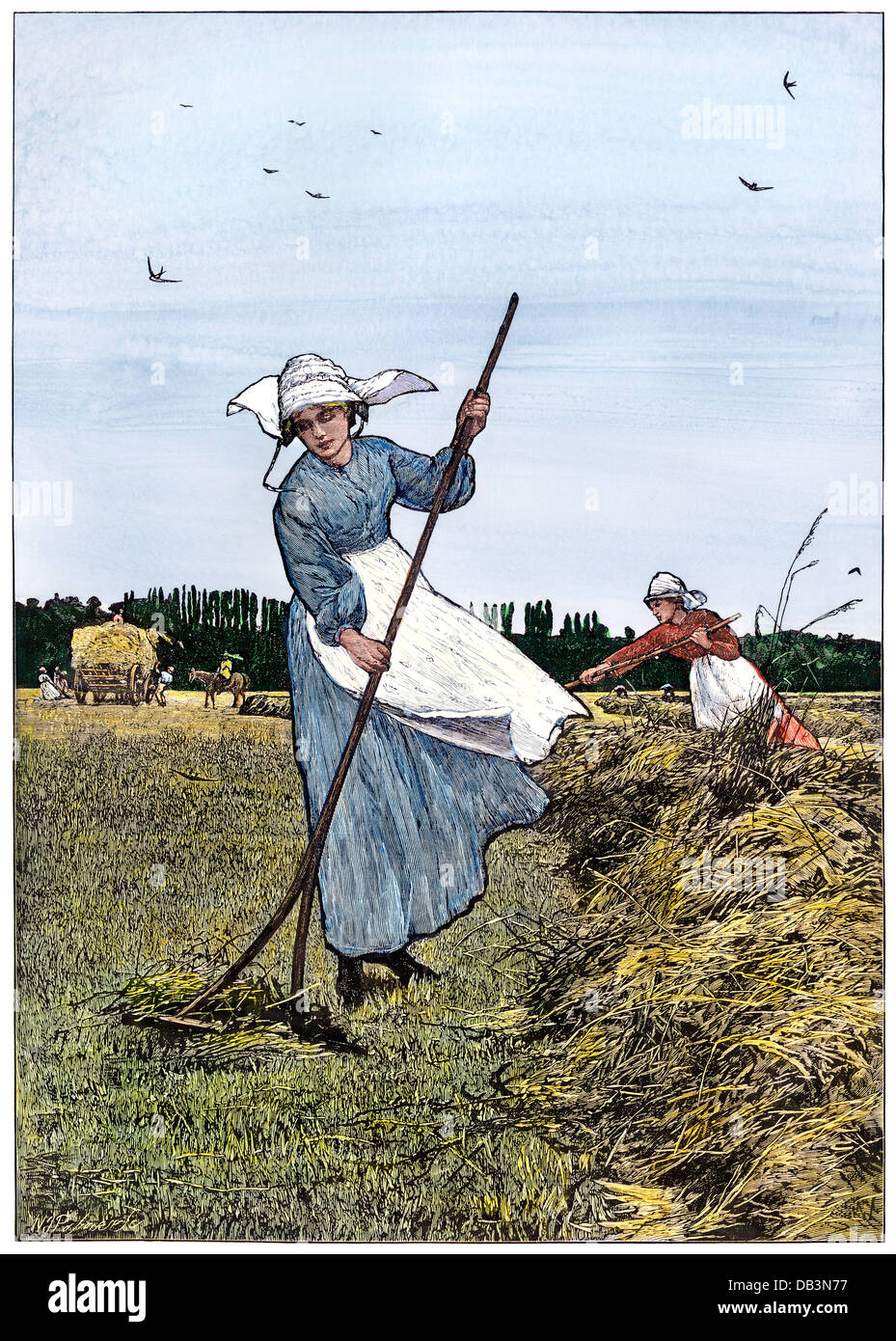 La fenaison dans les régions rurales de l'Angleterre, 1870. À la main, gravure sur bois, d'une illustration Lionel Smith Banque D'Images