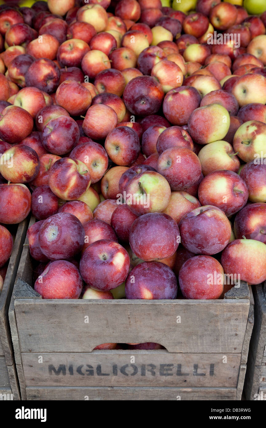 Fort avec les pommes biologiques en vente sur Union Square greenmarket, New York City Banque D'Images