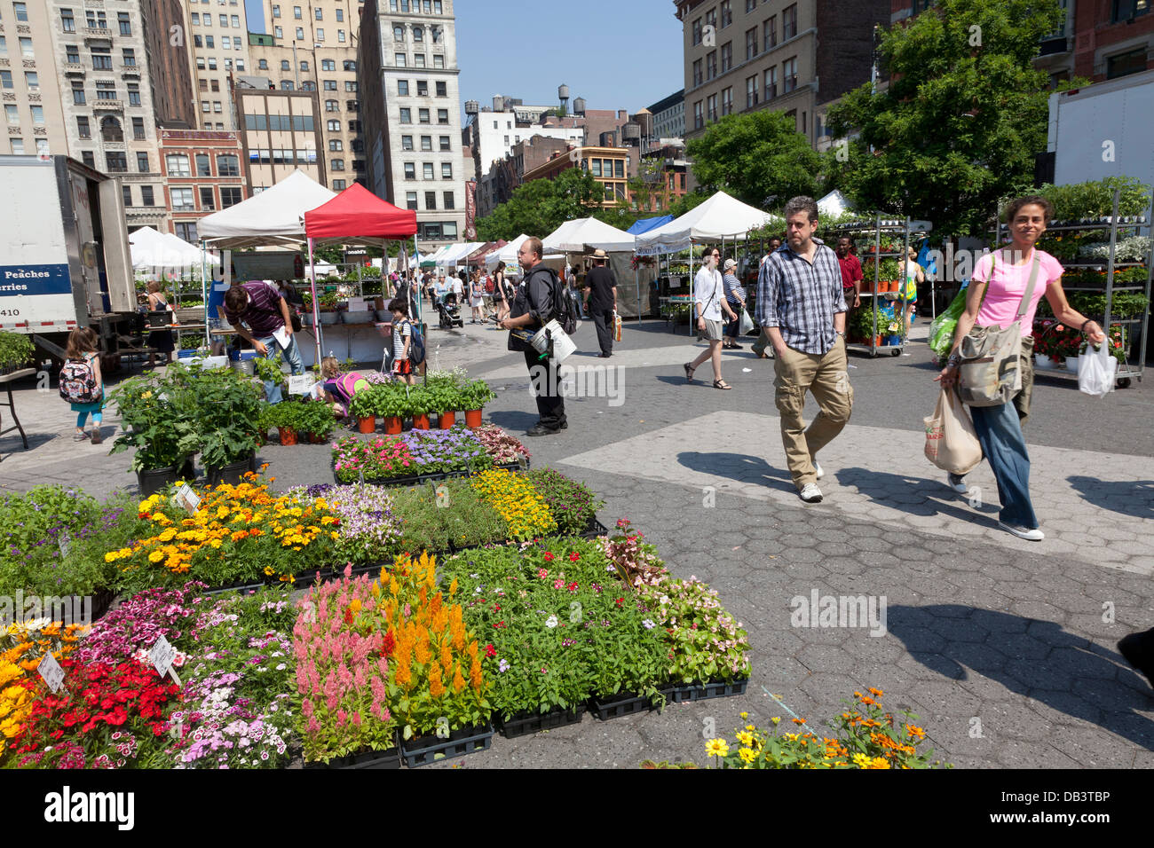 Plantes pour la vente sur Union Square greenmarket Banque D'Images