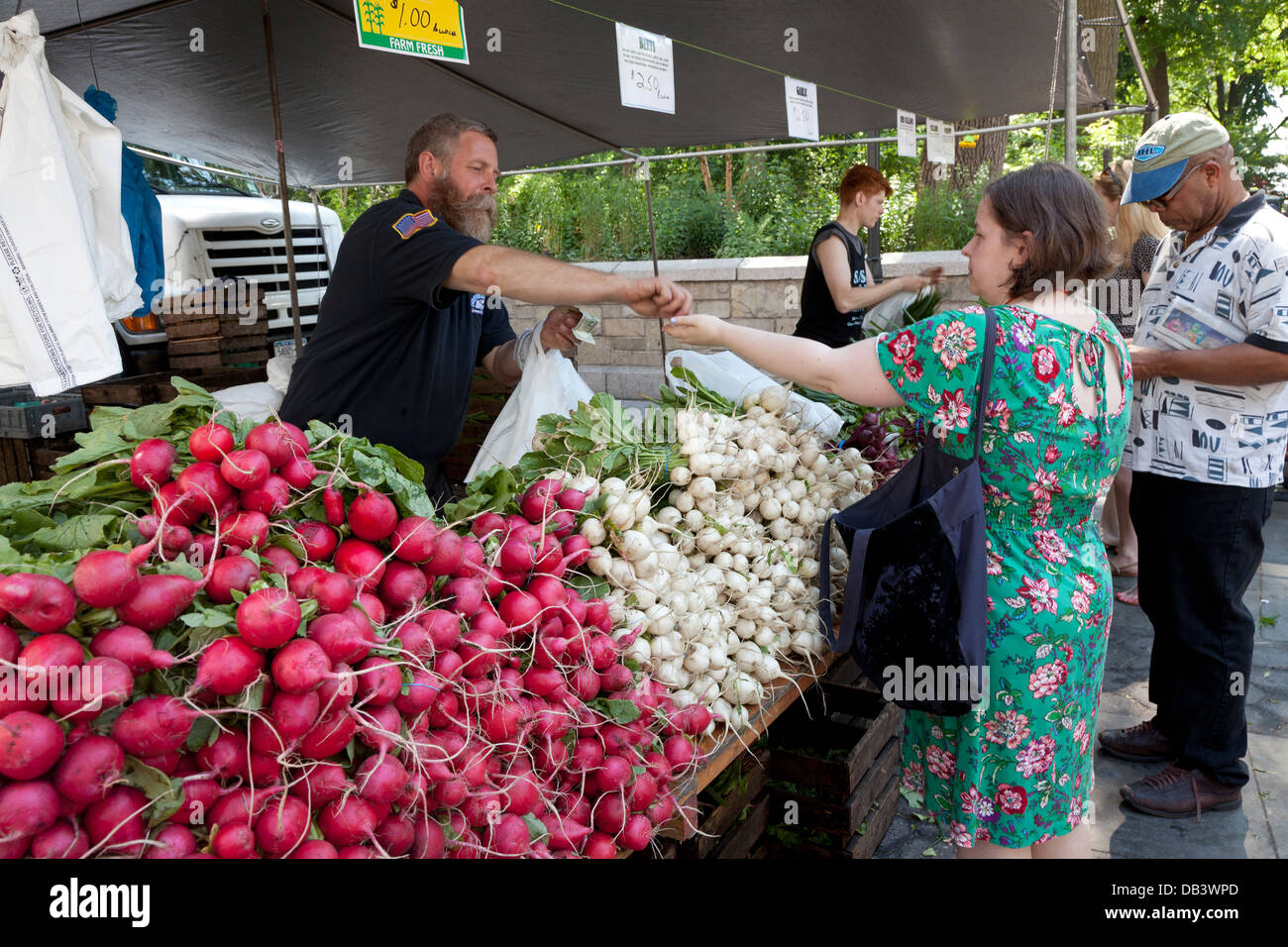 Les radis frais en vente sur Union Square greenmarket, New York City Banque D'Images