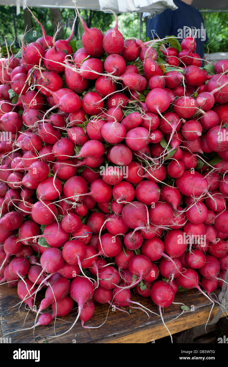 Les radis frais en vente sur Union Square greenmarket, New York City Banque D'Images