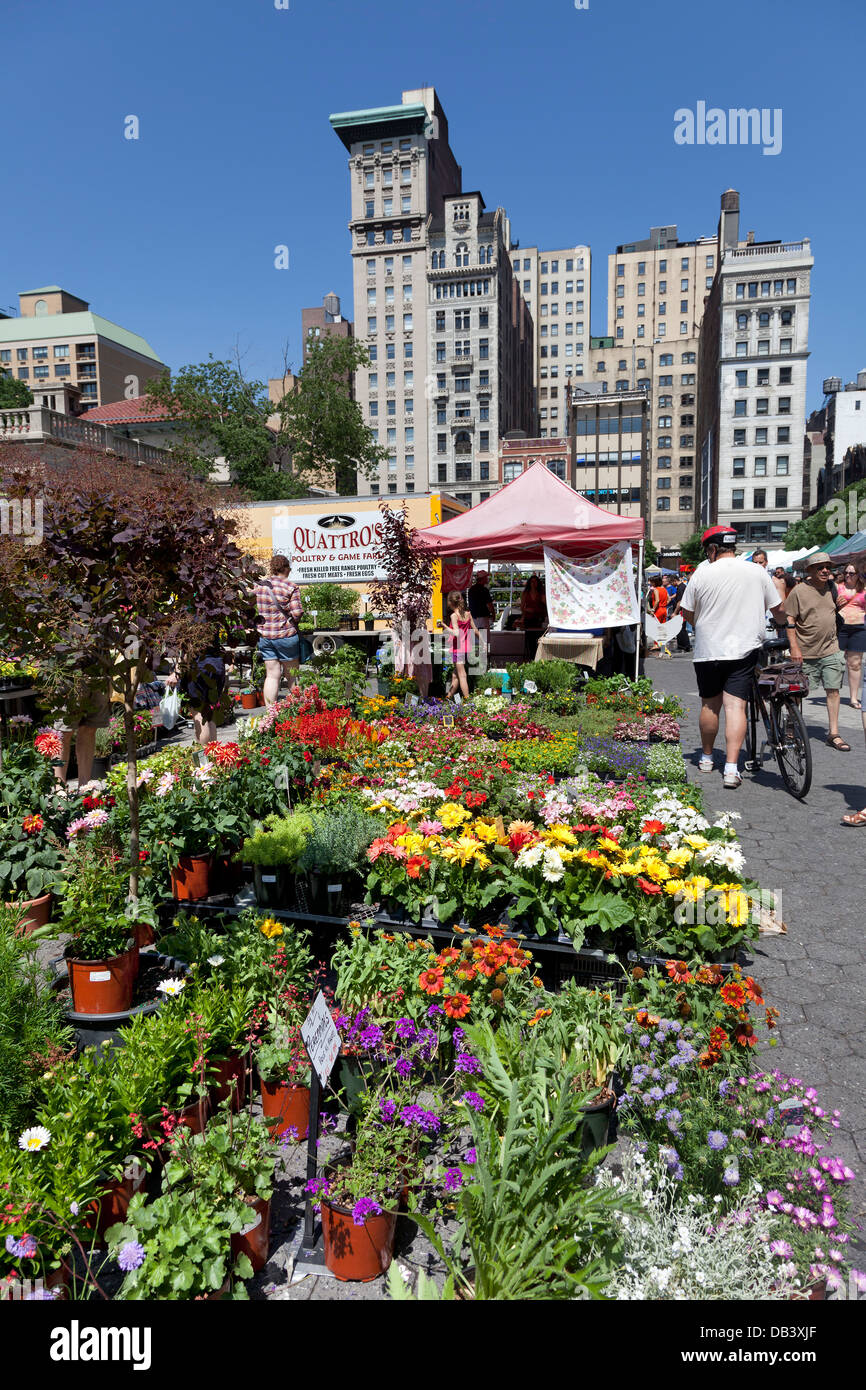 Union Square greenmarket, New York City Banque D'Images