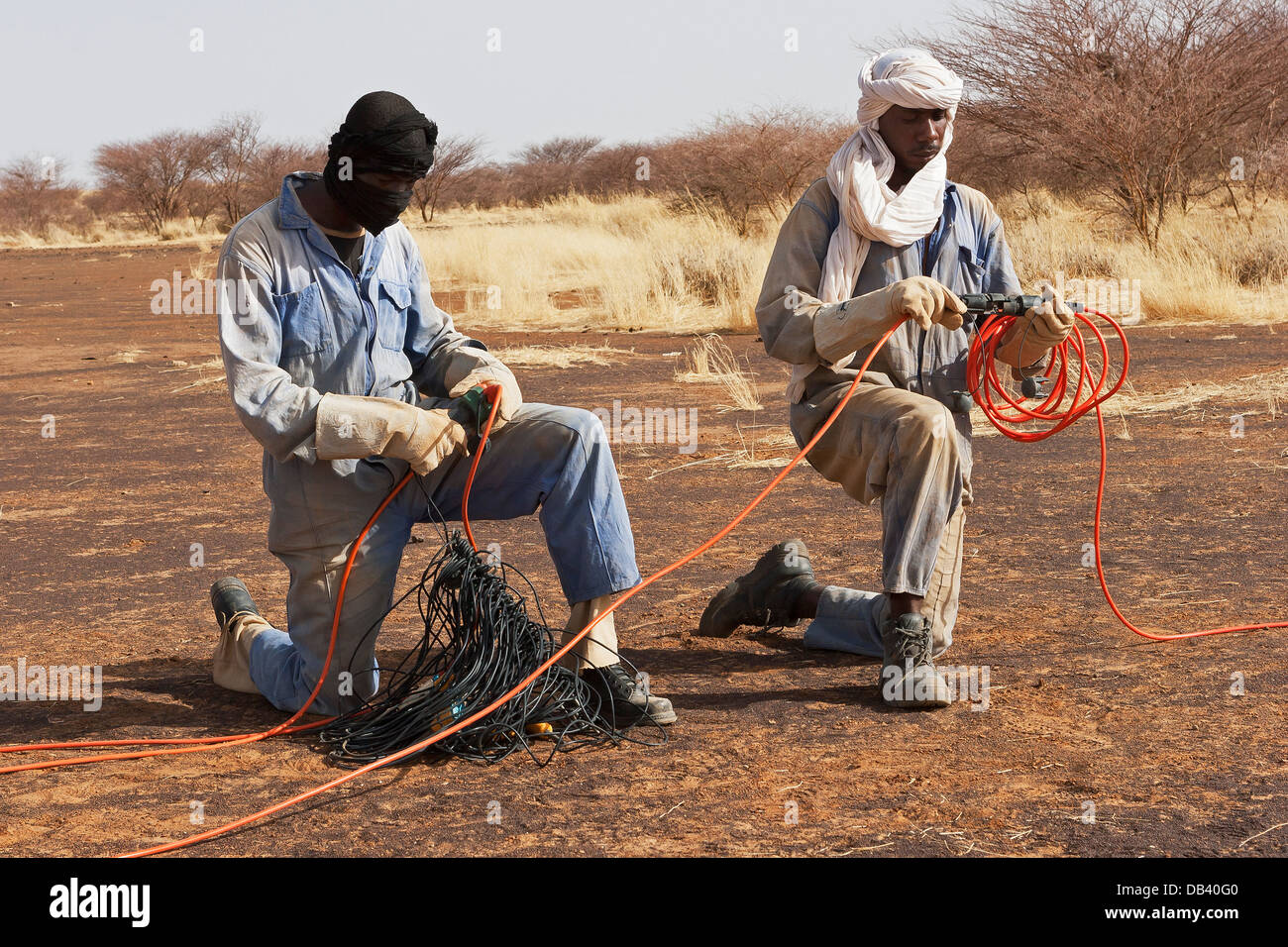 Au cours de l'enquête physique Geo seismic exploration pétrolière. Câble de liaison de l'équipage et des capteurs télémétriques avant la pose des lignes d'enregistrement Banque D'Images