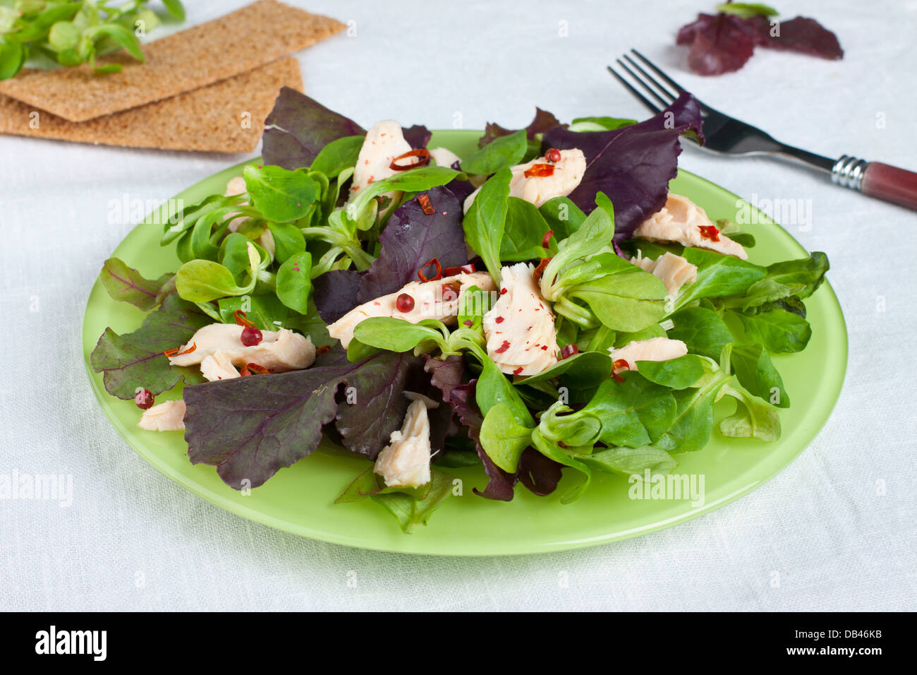 Assiette de salade verte fraîche de saumon fumé et de poivre rouge Banque D'Images