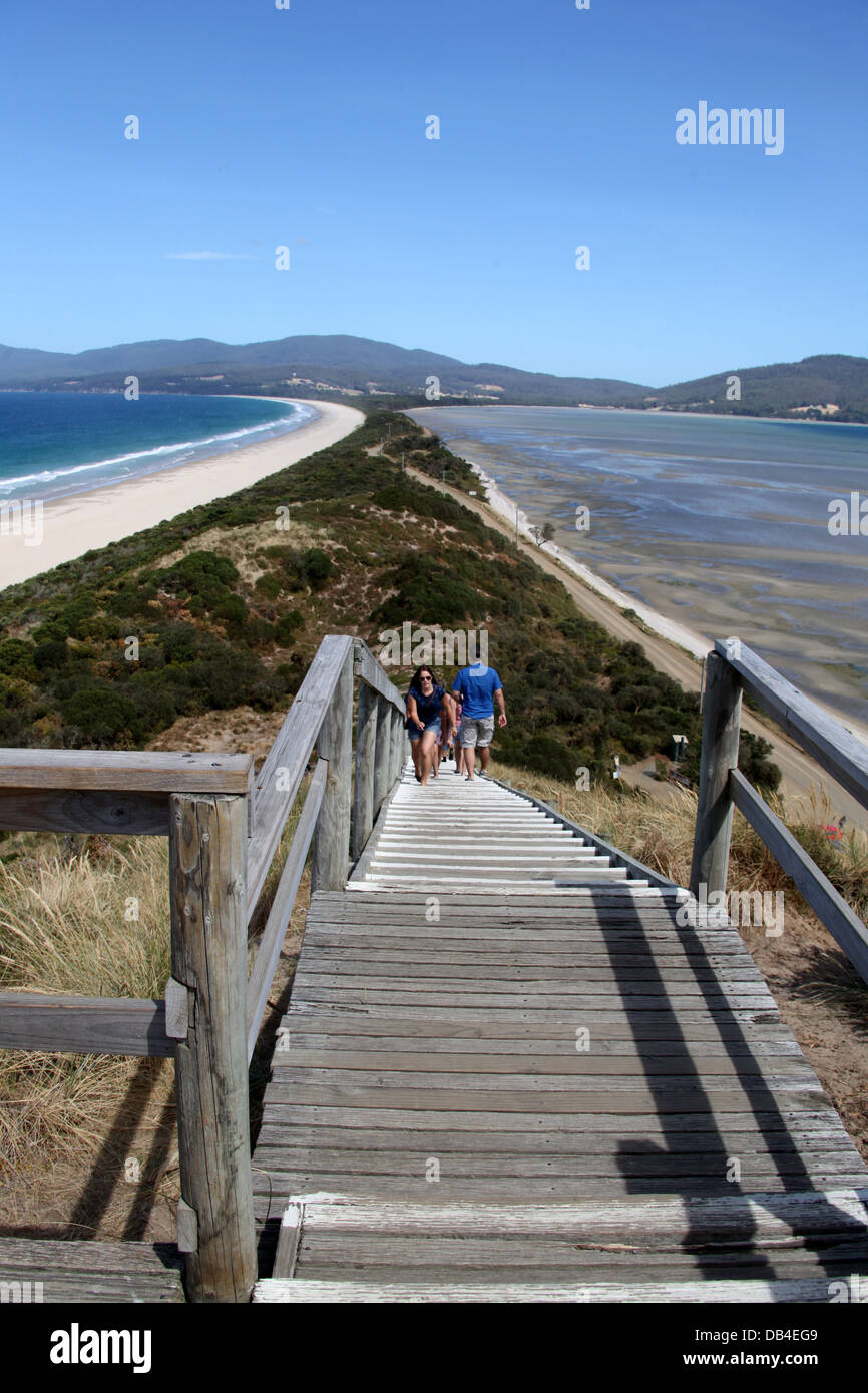 Bruny Island cou Game Reserve en Tasmanie Banque D'Images