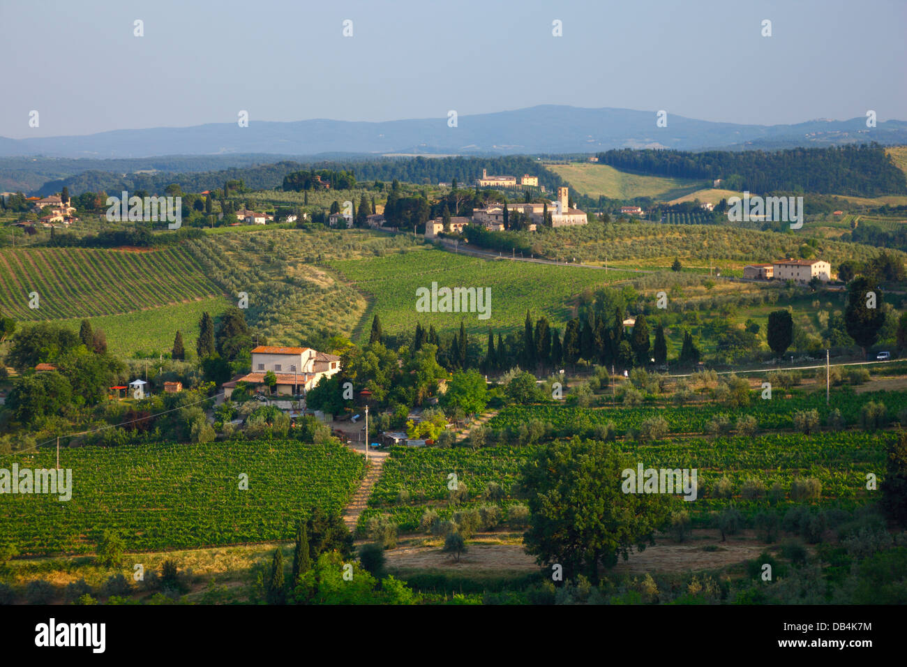 Paysage de collines et vignobles de San Gimignano, Italie Banque D'Images