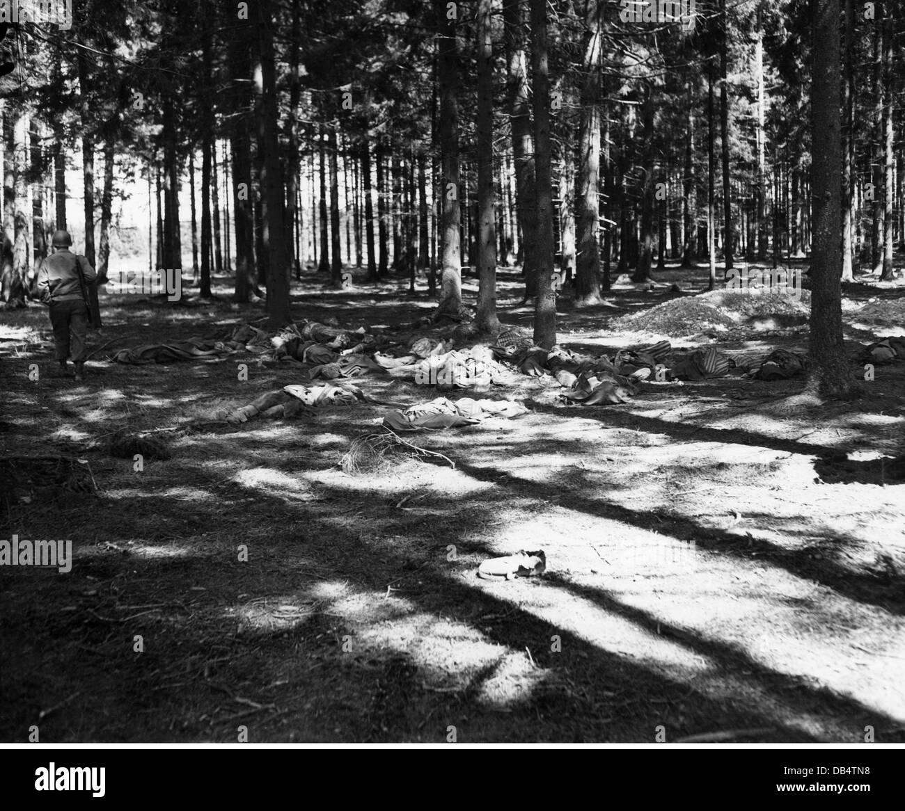 Nazisme / National socialisme, crimes, meurtre de prisonniers du camp de concentration Landsberg am Lech par les SS, cadavres dans la forêt, 30.4.1945, droits additionnels-Clearences-non disponible Banque D'Images